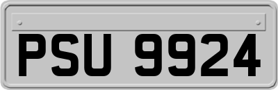 PSU9924