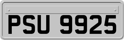 PSU9925