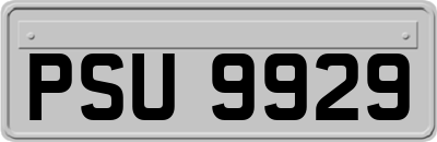PSU9929