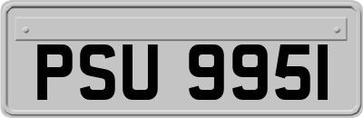 PSU9951