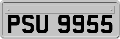 PSU9955