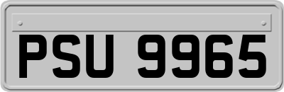 PSU9965
