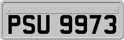 PSU9973