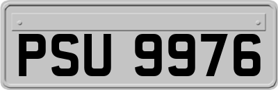 PSU9976
