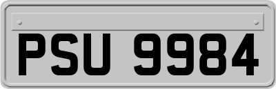 PSU9984