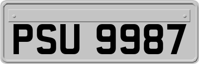 PSU9987