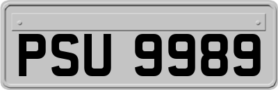 PSU9989