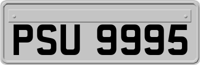 PSU9995