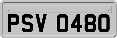 PSV0480