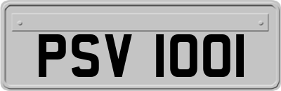 PSV1001