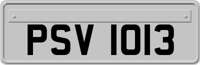PSV1013