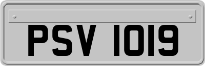 PSV1019