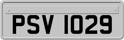 PSV1029