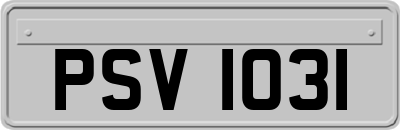 PSV1031