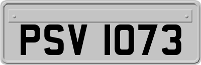 PSV1073