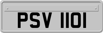 PSV1101