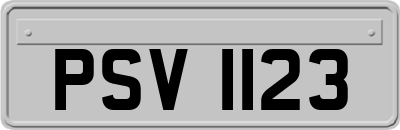 PSV1123
