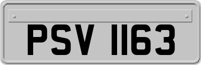 PSV1163