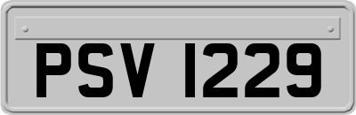 PSV1229