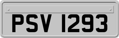 PSV1293