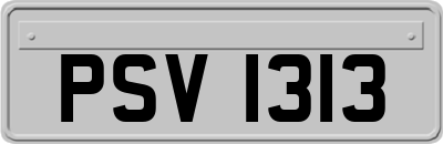 PSV1313