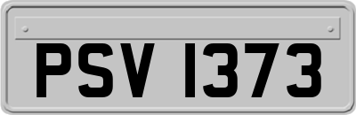 PSV1373