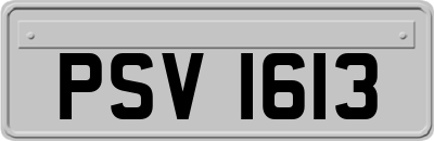 PSV1613