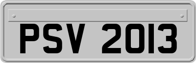 PSV2013