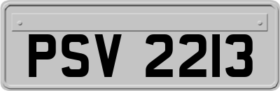 PSV2213