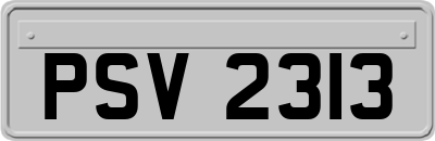 PSV2313