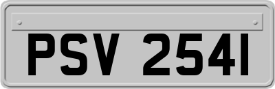 PSV2541