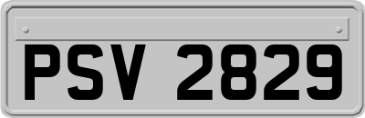 PSV2829