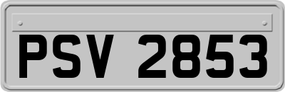 PSV2853