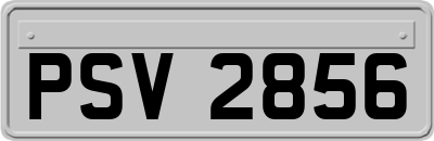 PSV2856