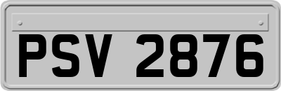 PSV2876