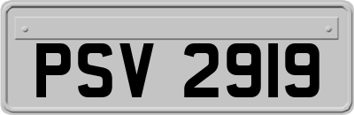 PSV2919