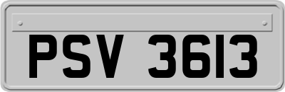 PSV3613