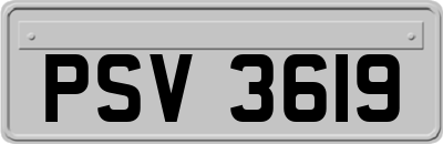PSV3619