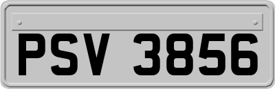 PSV3856