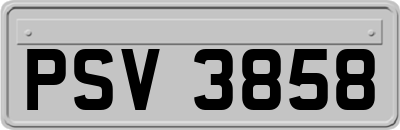 PSV3858