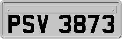 PSV3873