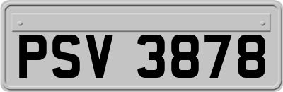 PSV3878