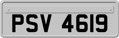 PSV4619