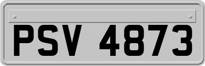 PSV4873