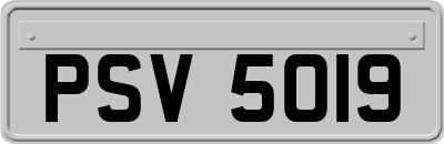 PSV5019
