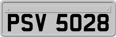 PSV5028