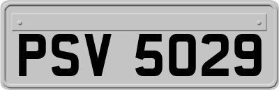 PSV5029