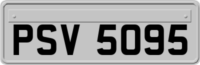 PSV5095
