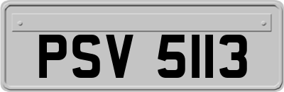 PSV5113