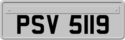 PSV5119